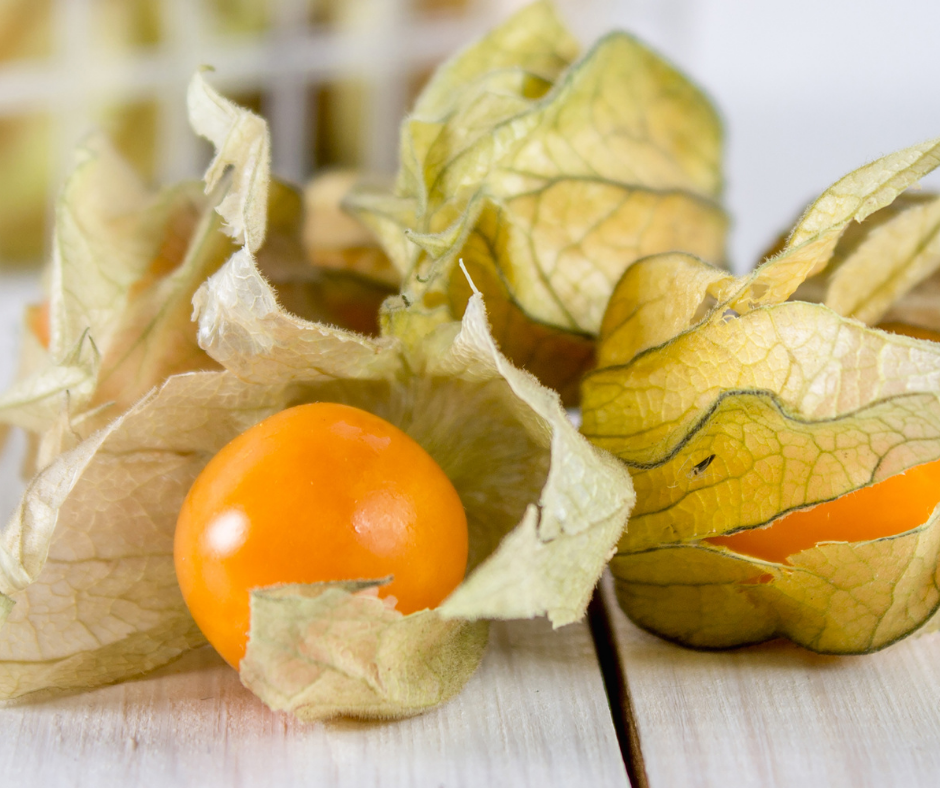 Le physalis est un booster naturel pour le système immunitaire fruits et légumes du mois d'octobre