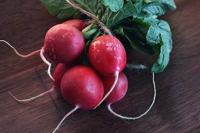 Le radis prévient des maladies cardiovasculaires fruits et légumes du mois de mai
