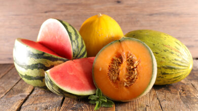 Fruits frais : melon, pastèque