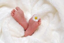 bébé et perturbateurs endocriniens