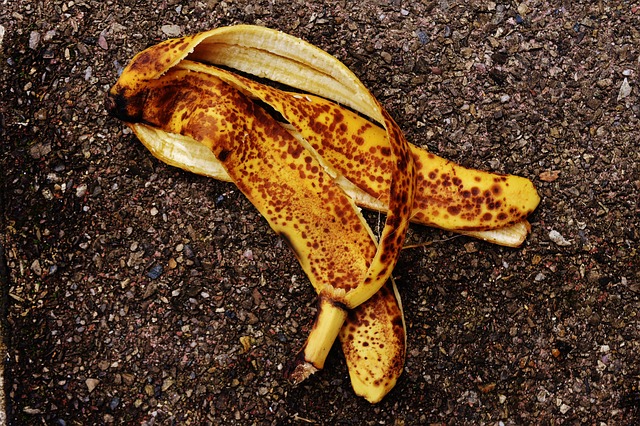 La peau de banane est un engrais naturel
