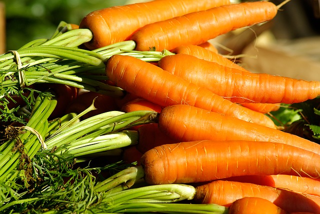 Bottes de carottes avec fanes