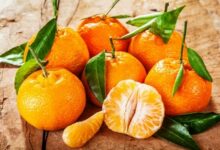 différences entre mandarine et clémentine