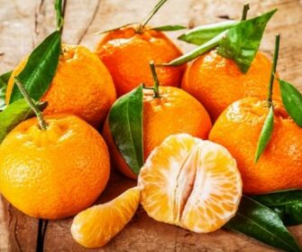 différences entre mandarine et clémentine